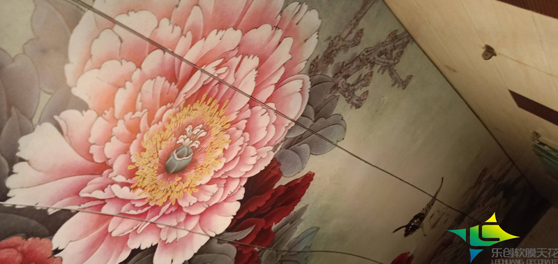 女浴软膜天花案例